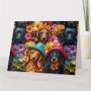 Recherche de chiot teckel vœux cartes Fleurs