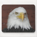 Recherche de oiseau vol tapis souris Aigle