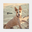 Suche nach dog magnete Blau