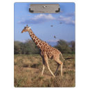 Suche nach giraffe klemmbrett Natur