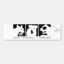 Suche nach jrt Hund