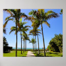 Suche nach tropische bäume poster Meer