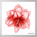 Suche nach amaryllis poster Weiß
