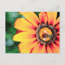 Suche nach pollen poster Farbbild