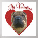 Suche nach shar pei poster Scharpei