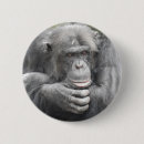 Suche nach schimpanse buttons Primate