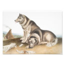 Recherche de esquimaux posters Vintage