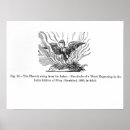 Suche nach phoenix vogel poster Wiedergeburt