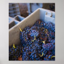 Suche nach bodega poster Provinz
