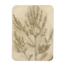 Recherche de botanique magnets Feuille