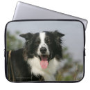 Recherche de sleeves photographie Chien