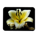 Recherche de jaune noir magnets Blanc