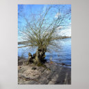 Suche nach bäume poster Baum
