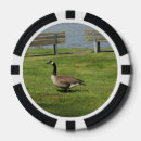 Suche nach vogel poker chips Vögel