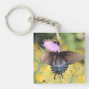 Recherche de chardon porteclés Papillon