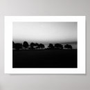 Suche nach schwarze bäume poster Minimal