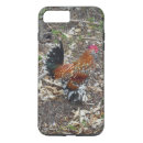 Suche nach kleine vögel iphone hüllen Vogel