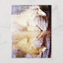 Recherche de galopant cartes postales Étalon