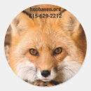 Recherche de fox autocollants Animaux