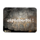 Recherche de tortue magnets Coquille de tortue