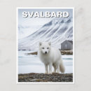 Suche nach arctic fox poster Natur