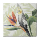 Suche nach vogel fliesen Vögel