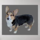 Suche nach pembroke poster Schweißkorgi