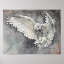 Suche nach schneeeulen poster Aquarell