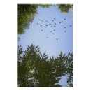 Recherche de nature posters Arbre