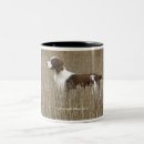 Recherche de multiple tasses Blanc