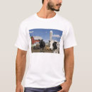 Recherche de silos tshirts Amérique