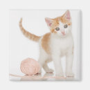 Suche nach schnüre magnete Katze