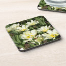 Recherche de pointu dessous de verres Pour tous