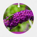 Recherche de cricket christmas decor Katydid