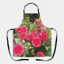 Recherche de dahlia tabliers Fleurs
