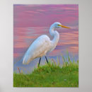 Recherche de promenades en posters Oiseaux