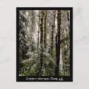 Recherche de temps noël cartes postales Pour tous