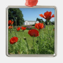 Suche nach mohnblumen ornamente Mit blumen