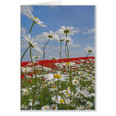 Suche nach ackerland Bauernhof