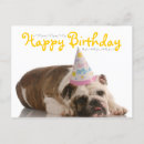 Recherche de chien taureau vœux cartes Photo de chien