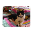 Recherche de crochets magnets Pour elle