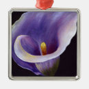 Suche nach lily ornamente Calla