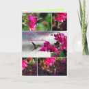 Recherche de throated vœux cartes Colibri