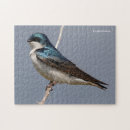 Recherche de hirondelles puzzles Oiseaux
