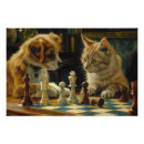 Suche nach duell Hund