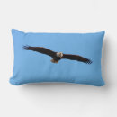 Recherche de aigle chauve coussins Nature