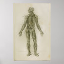 Suche nach blood poster Human