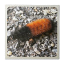 Recherche de laineux carreaux Nature