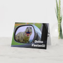 Recherche de humour dinosaure vœux cartes Vieillissement