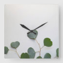 Recherche de eucalyptus horloges Feuillage